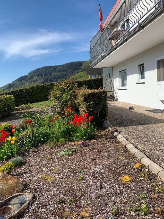 Fewo Moselblick Traben-Trarbach Exterior foto